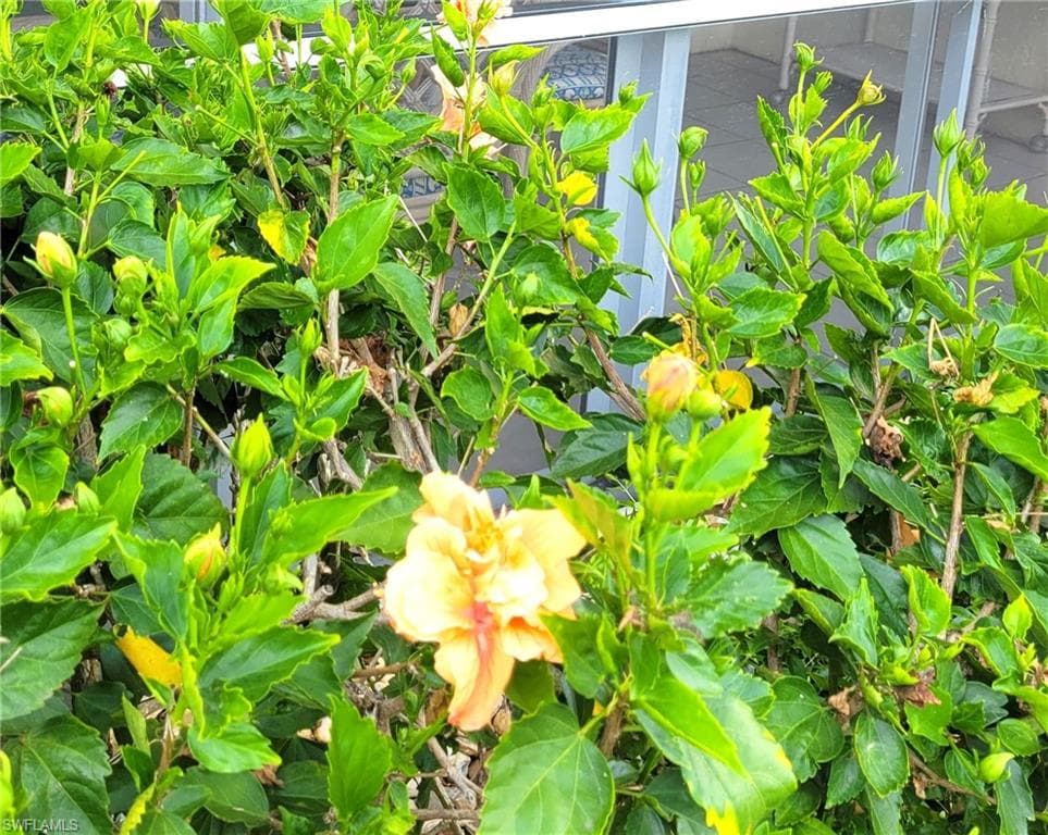 401 Charlemagne Blvd C112, Naples, FL 34112-4