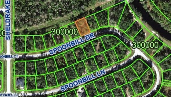 274 Spoonbill Dr, Poinciana Place, FL 34759-2