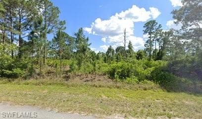 1242 Belgrave St, Fort Myers, FL 33913-2
