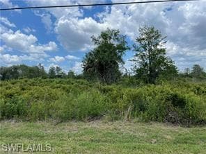 Xxxx 31st Ave NE, Naples, FL 34120-2