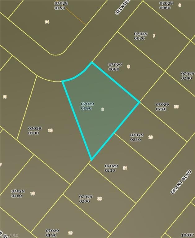 373 Selkirk Ave, Lehigh Acres, FL 33974-1