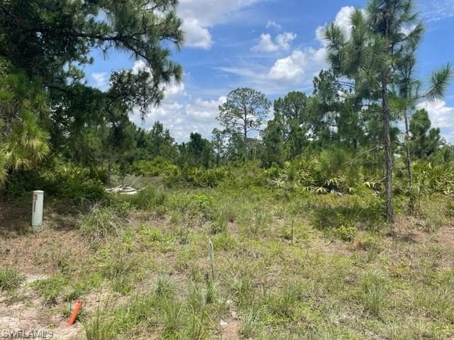557 Barranger Ave S, Lehigh Acres, FL 33974-1