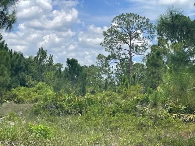 557 Barranger Ave S, Lehigh Acres, FL 33974-3