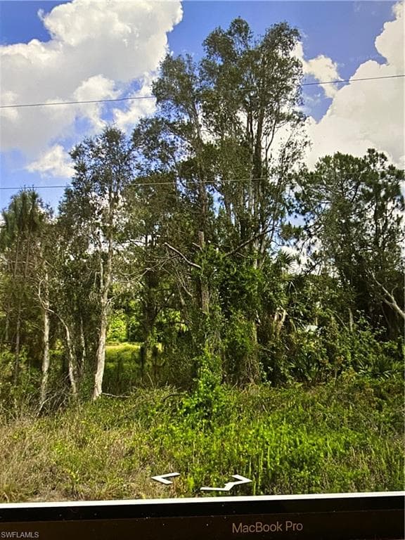 1053 Dearborn St, Lehigh Acres, FL 33974-3