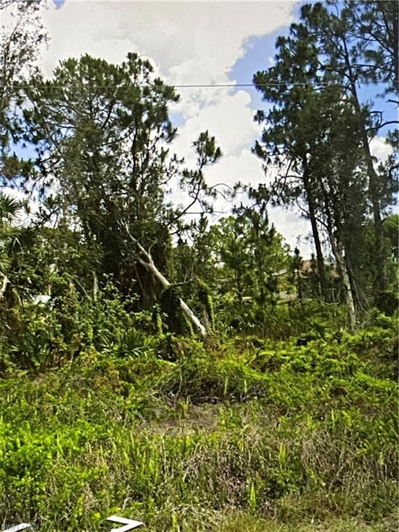 1053 Dearborn St, Lehigh Acres, FL 33974-4