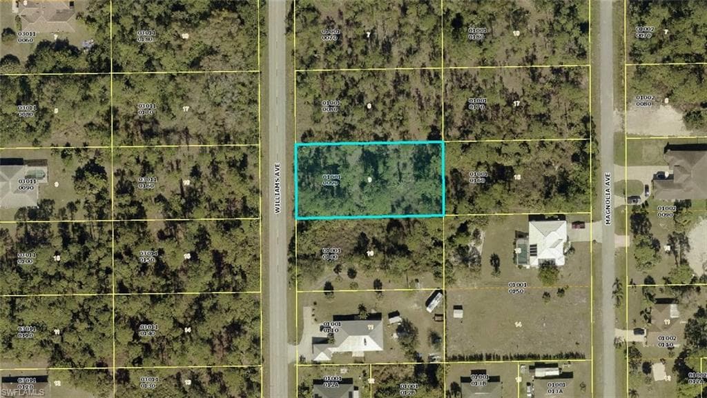806 Williams Ave, Lehigh Acres, FL 33972-2