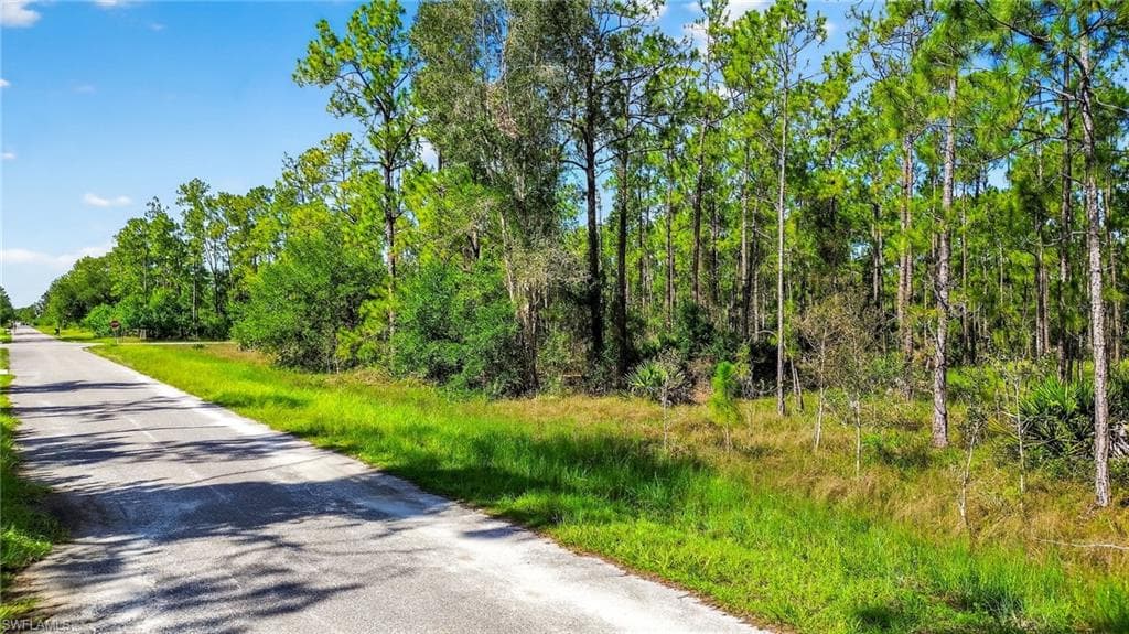1405 Washington Ave, Lehigh Acres, FL 33972-8