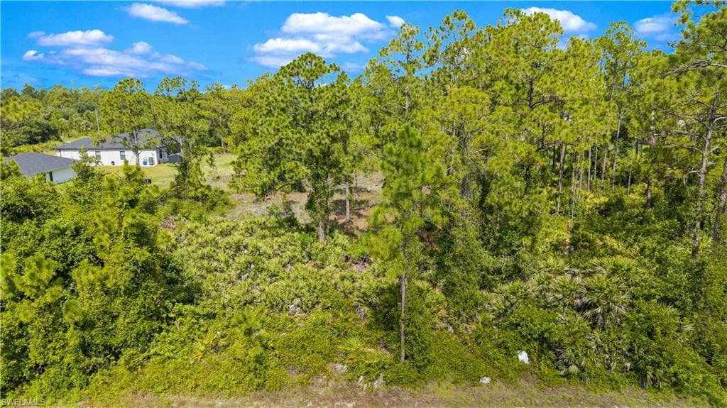 1305 Louis Ave, Lehigh Acres, FL 33972-2