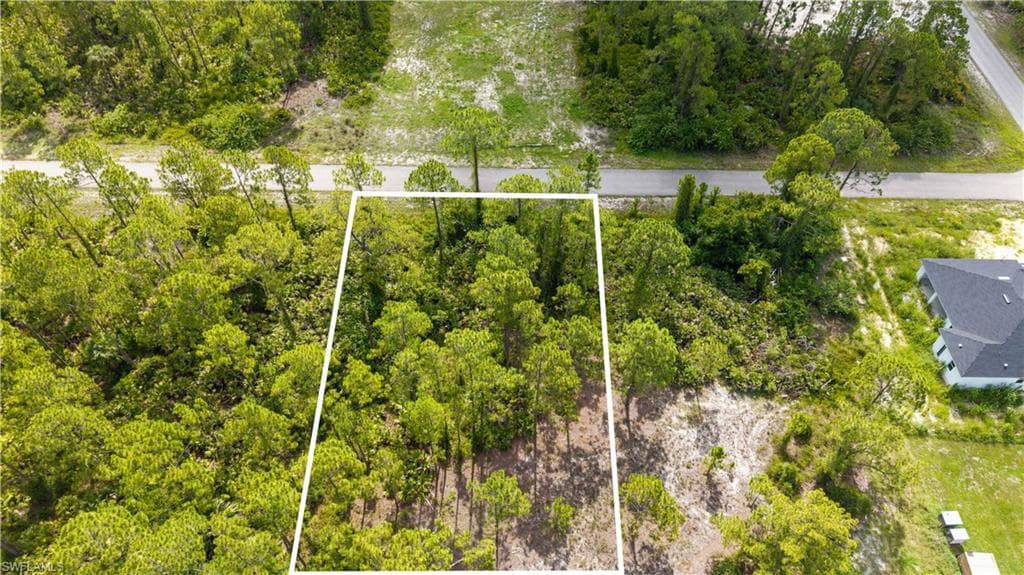 1305 Louis Ave, Lehigh Acres, FL 33972-5