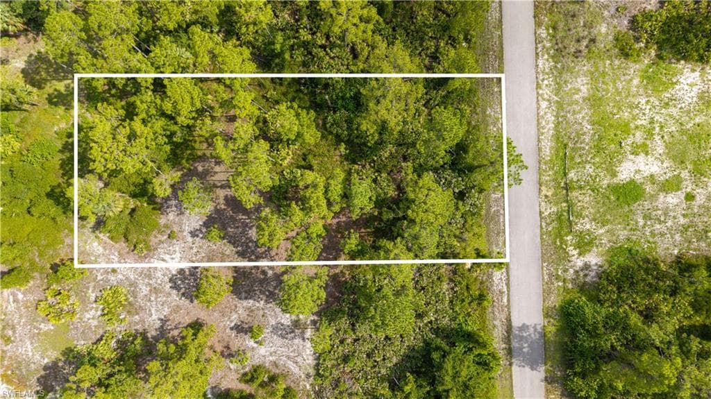 1305 Louis Ave, Lehigh Acres, FL 33972-7
