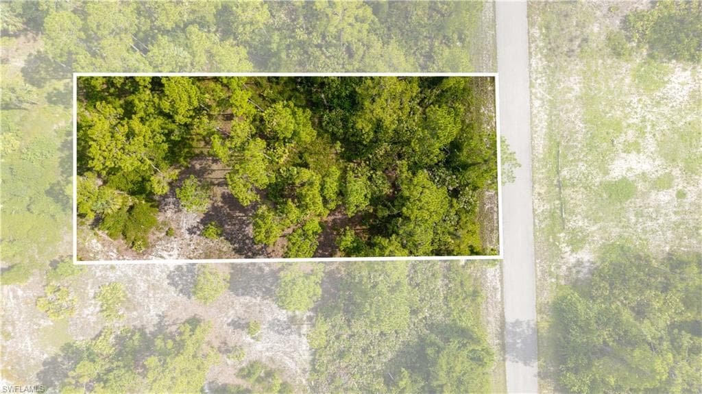 1305 Louis Ave, Lehigh Acres, FL 33972-8