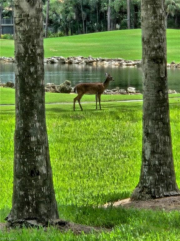 8563 Chase Preserve Dr, Naples, FL 34113-24