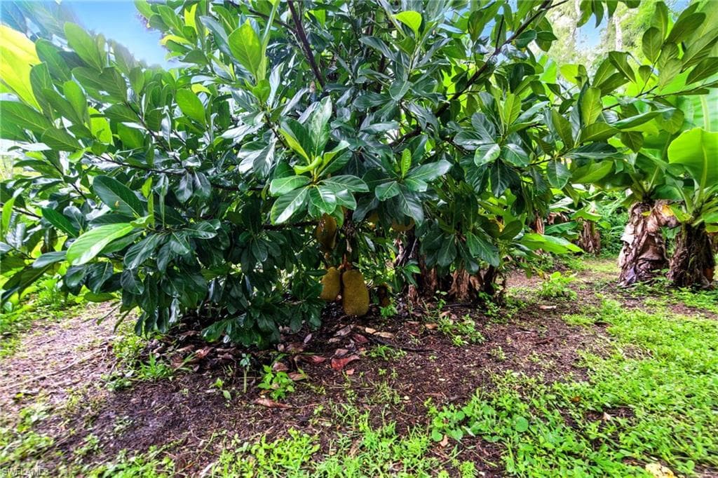 681 23rd St NW, Naples, FL 34120-34