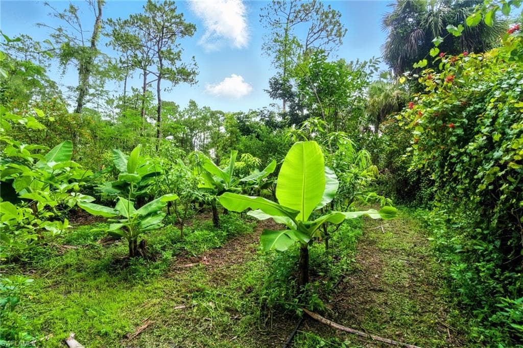 681 23rd St NW, Naples, FL 34120-36