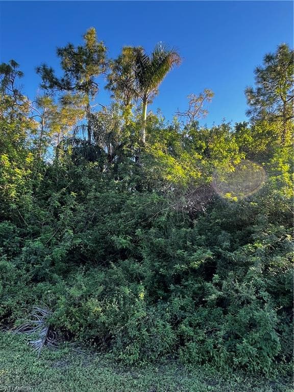 24033 Roger Dodger, Bonita Springs, Fl 34135-5