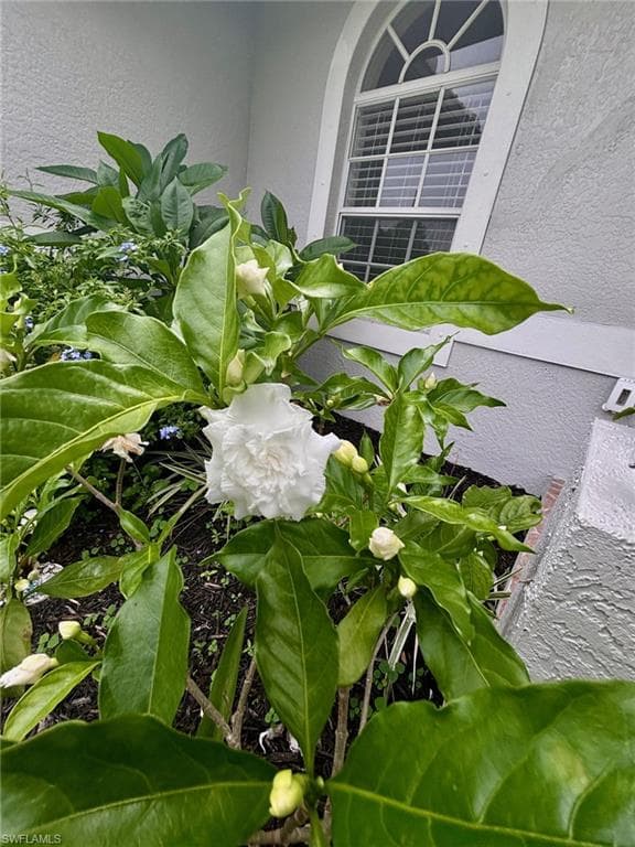 1940 Desoto Blvd N, Naples, FL 34120-6