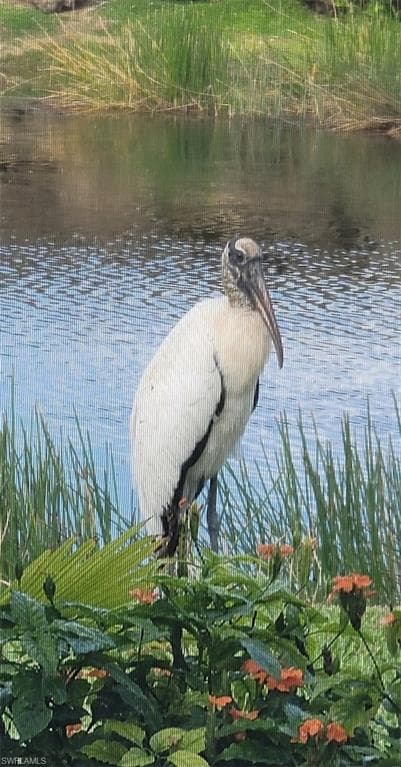 9534 Hemingway Ln, Fort Myers, FL 33913-39