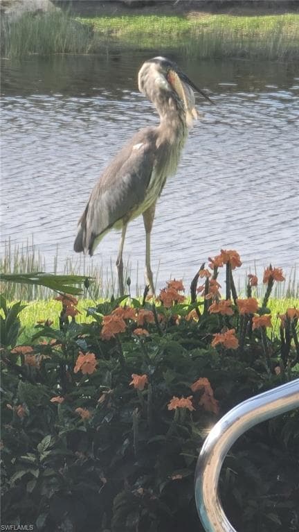 9534 Hemingway Ln, Fort Myers, FL 33913-40