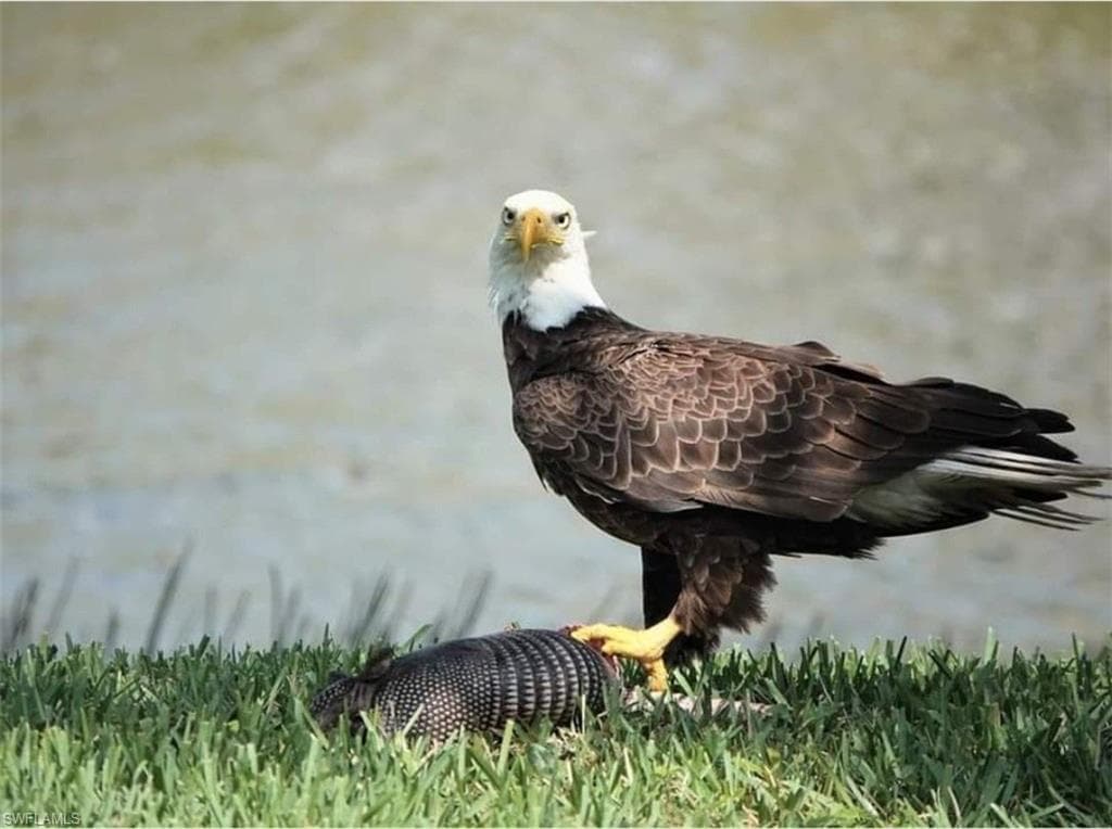 9534 Hemingway Ln, Fort Myers, FL 33913-41