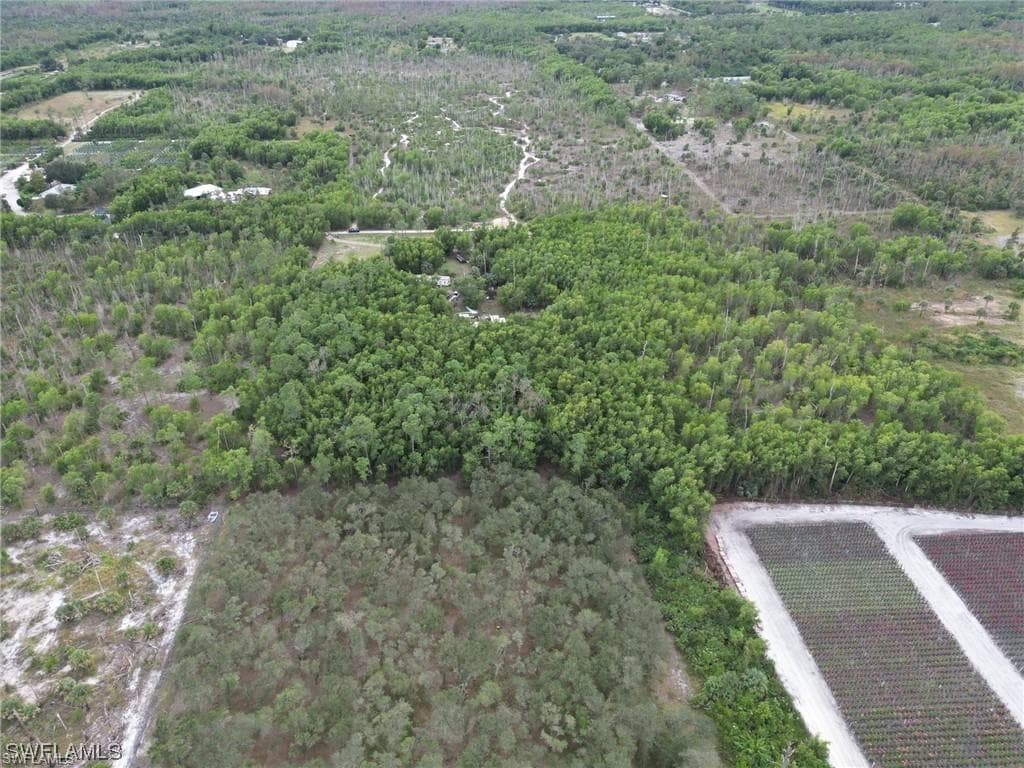 1775 Kearney Ave, Naples, FL 34117-17