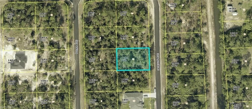 2119 Jackson Ave, Alva, FL 33920-2