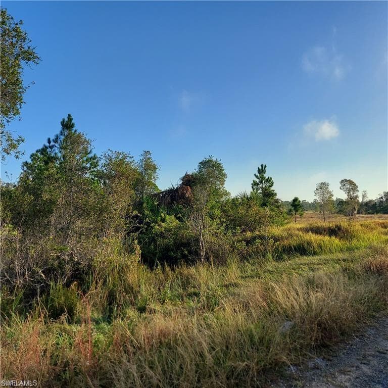 917 Clarissa St, Lehigh Acres, FL 33974-2