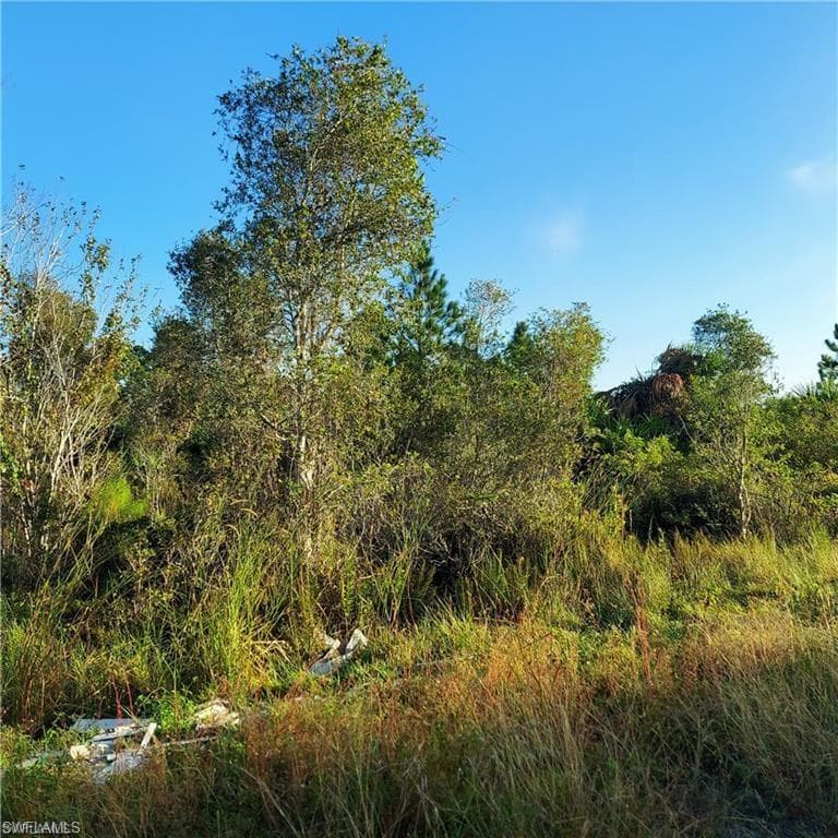 917 Clarissa St, Lehigh Acres, FL 33974-3
