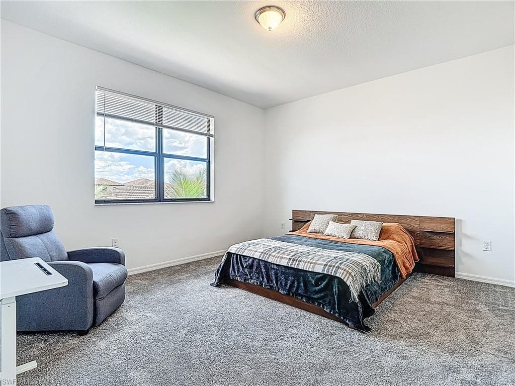 5392 Cameron Dr, Ave Maria, FL 34142-22