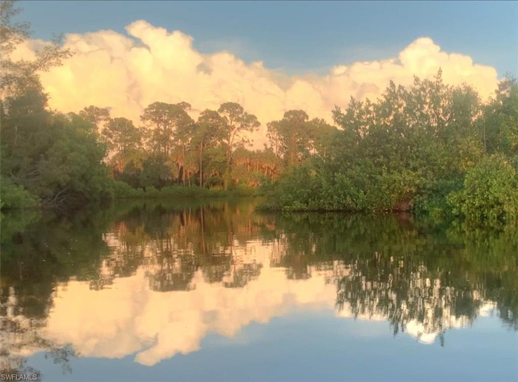 4021 Full Moon Ct, Naples, FL 34112-2