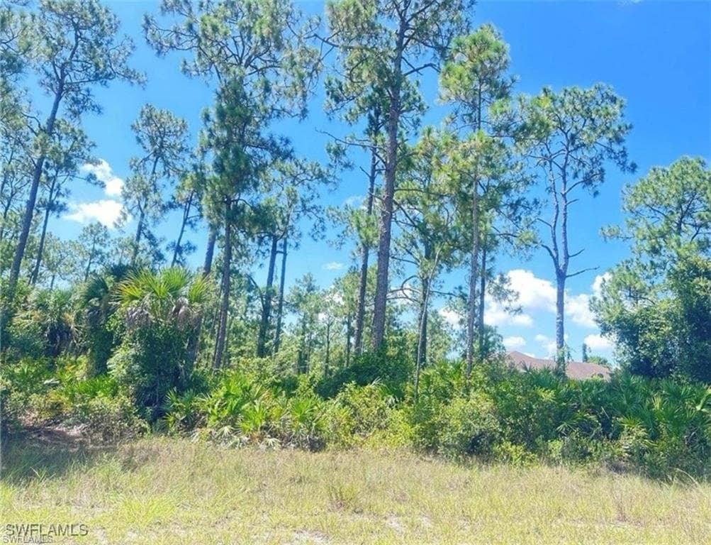 1005 18th St, Lehigh Acres, FL 33972-4