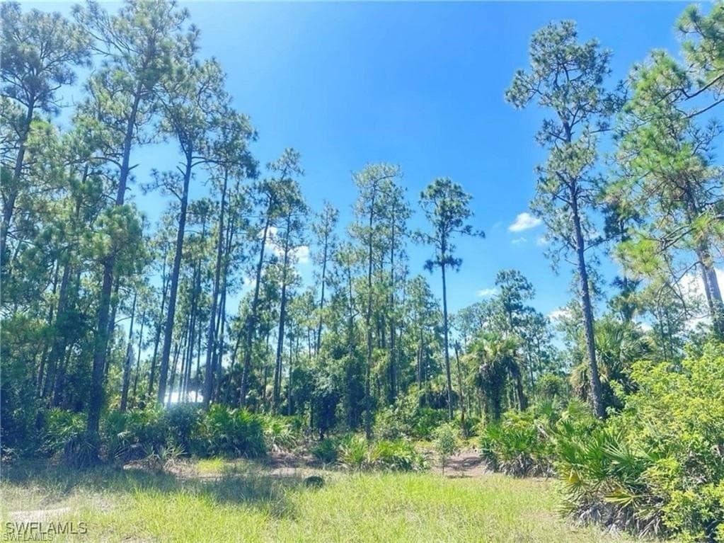 1005 18th St, Lehigh Acres, FL 33972-6