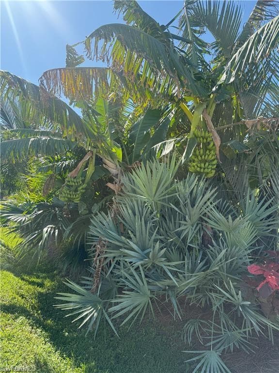 119 Flame Vine Dr, Naples, FL 34110-20