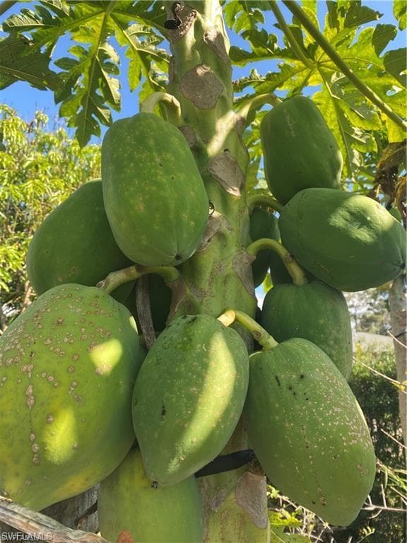 119 Flame Vine Dr, Naples, FL 34110-24