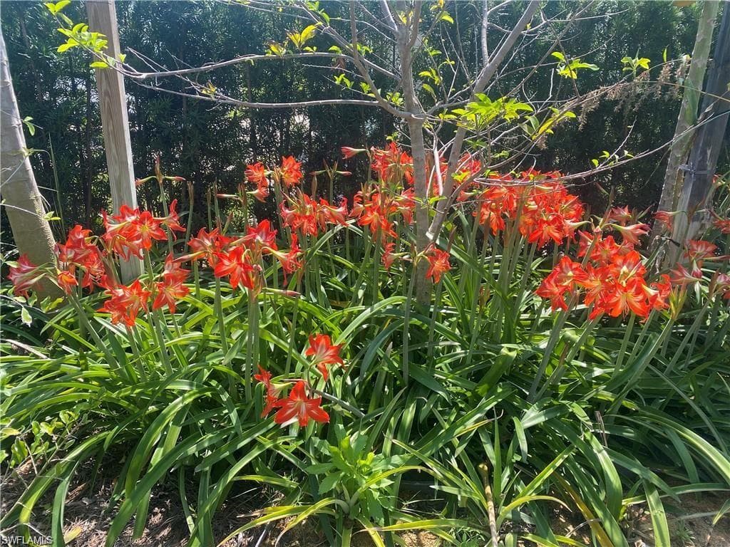 119 Flame Vine Dr, Naples, FL 34110-27