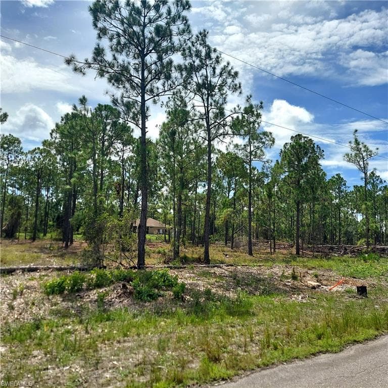 825 Glen Coy Ave, Lehigh Acres, FL 33974-3