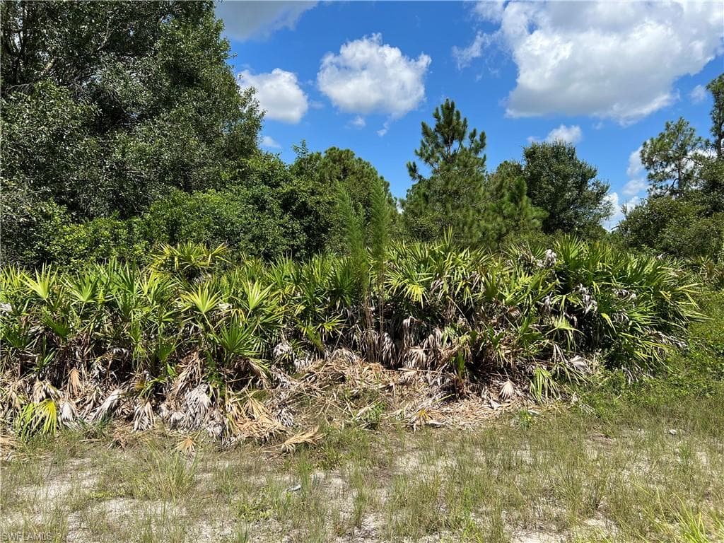 1402 State Ave, Lehigh Acres, FL 33972-11
