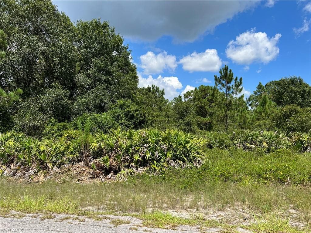 1402 State Ave, Lehigh Acres, FL 33972-12