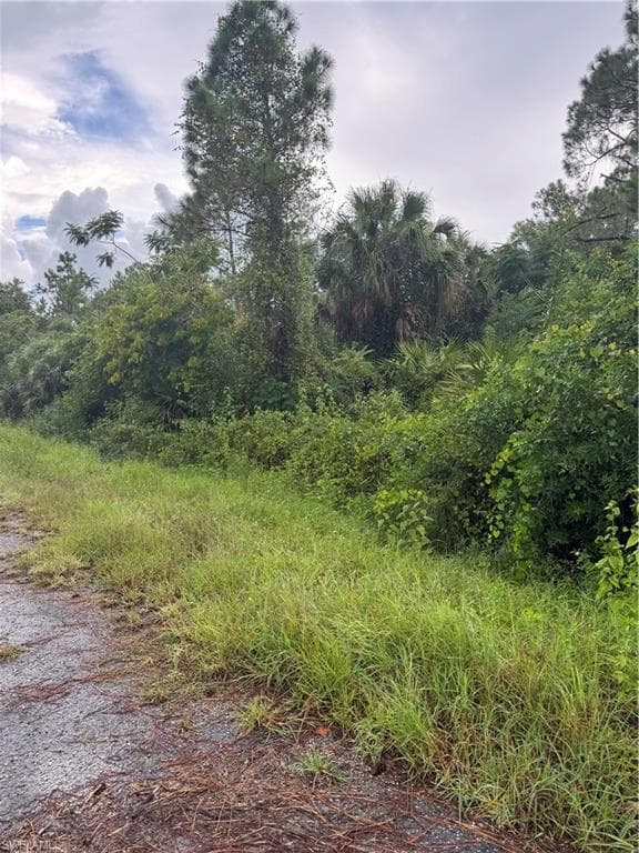325 Irving Ave, Lehigh Acres, FL 33936-2