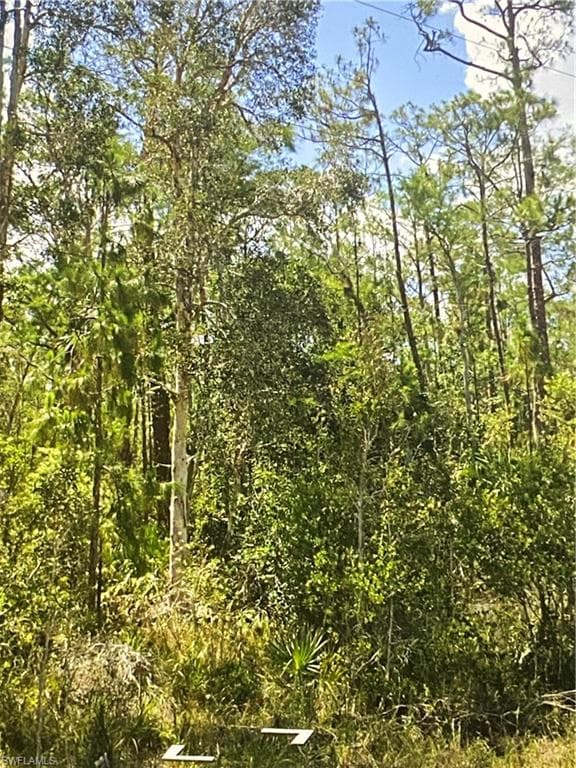 1911 Weller Ave, Lehigh Acres, FL 33972-3