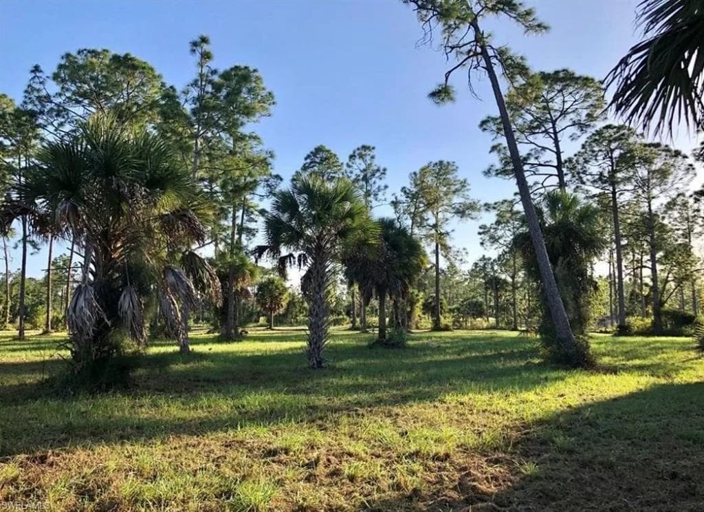 12 12th Ave NE, Naples, FL 34120-10