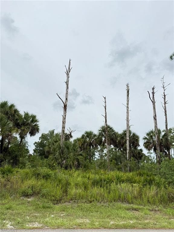 2905 Hanna Ave N, Lehigh Acres, FL 33971-1