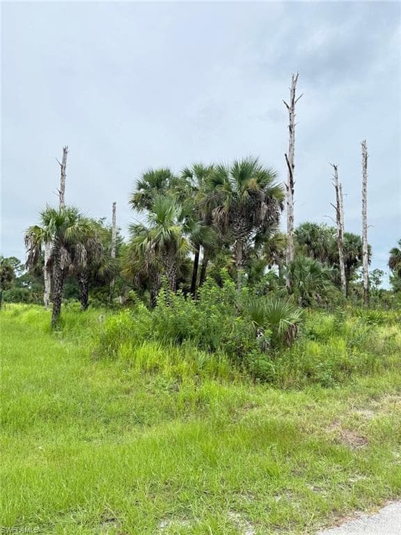 2905 Hanna Ave N, Lehigh Acres, FL 33971-3