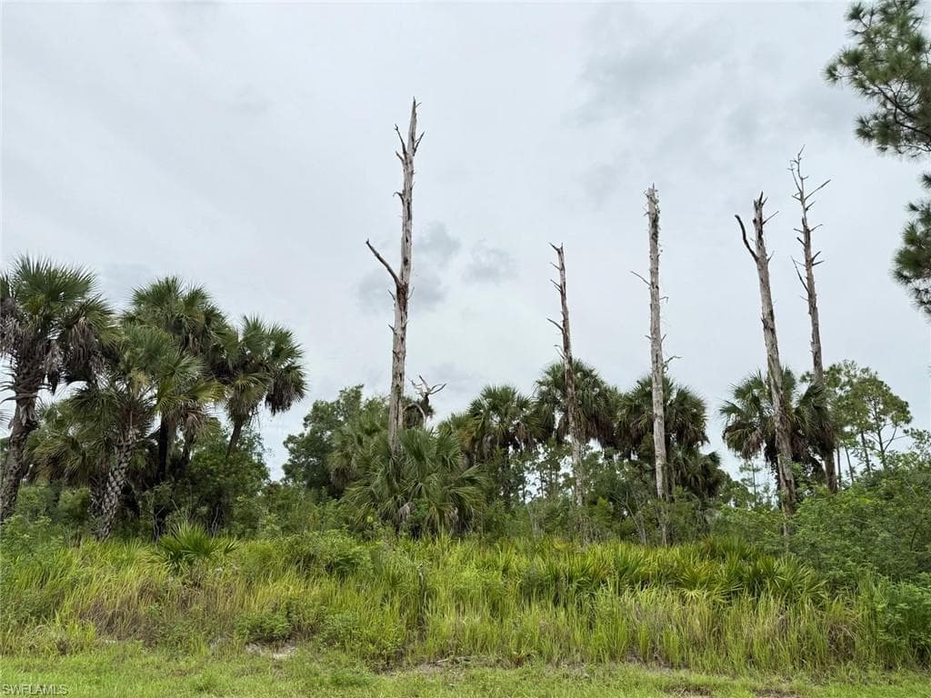2903 Hanna Ave N, Lehigh Acres, FL 33971-3