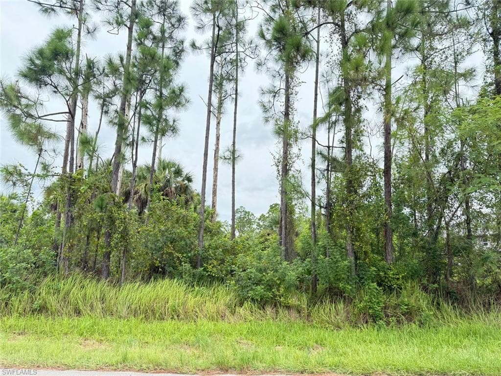 2903 Hanna Ave N, Lehigh Acres, FL 33971-4