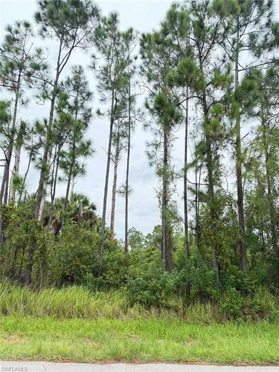 2903 Hanna Ave N, Lehigh Acres, FL 33971-5