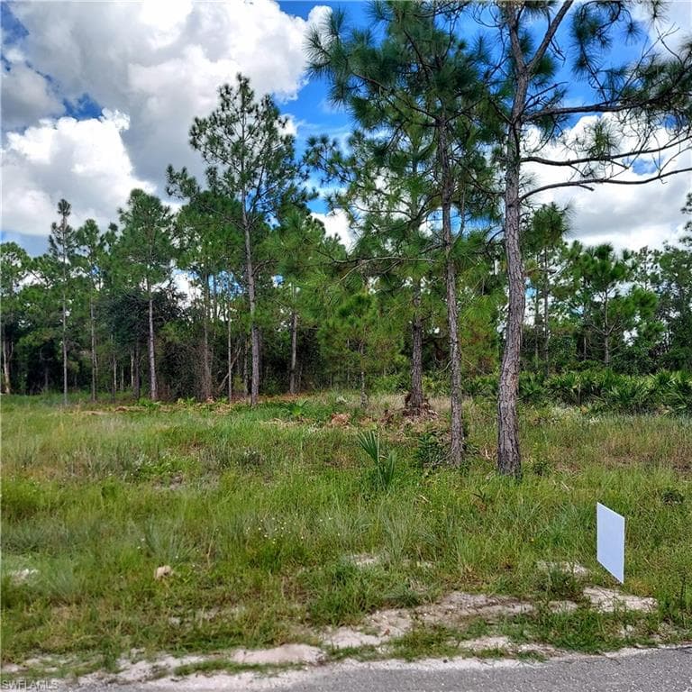 845 Glen Coy Ave, Lehigh Acres, FL 33974-3