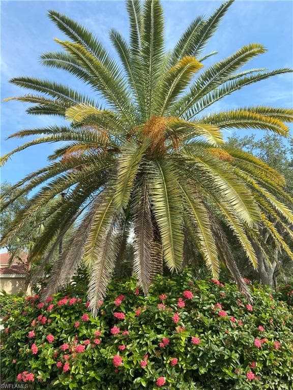 6645 Huntington Lakes Cir 204, Naples, FL 34119-24