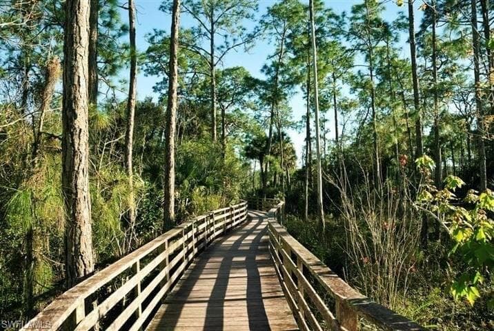 5377 Brin Way, Ave Maria, FL 34142-29