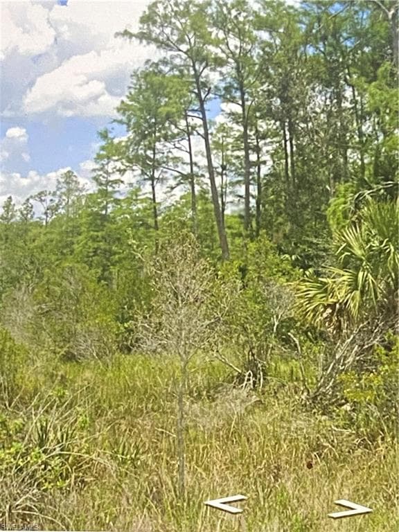 480 Westchester Dr, Lehigh Acres, FL 33972-2