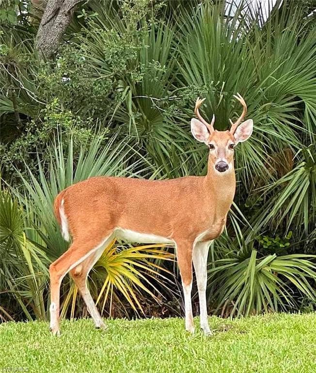 8744 Naples Heritage Dr E28, Naples, FL 34112-42